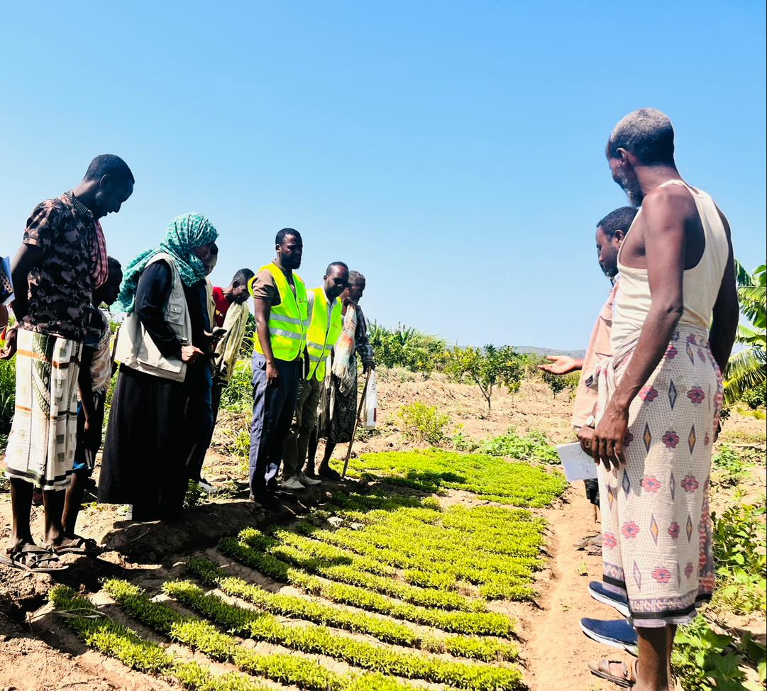 Agricultural Monitoring